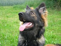 Ki-Shani